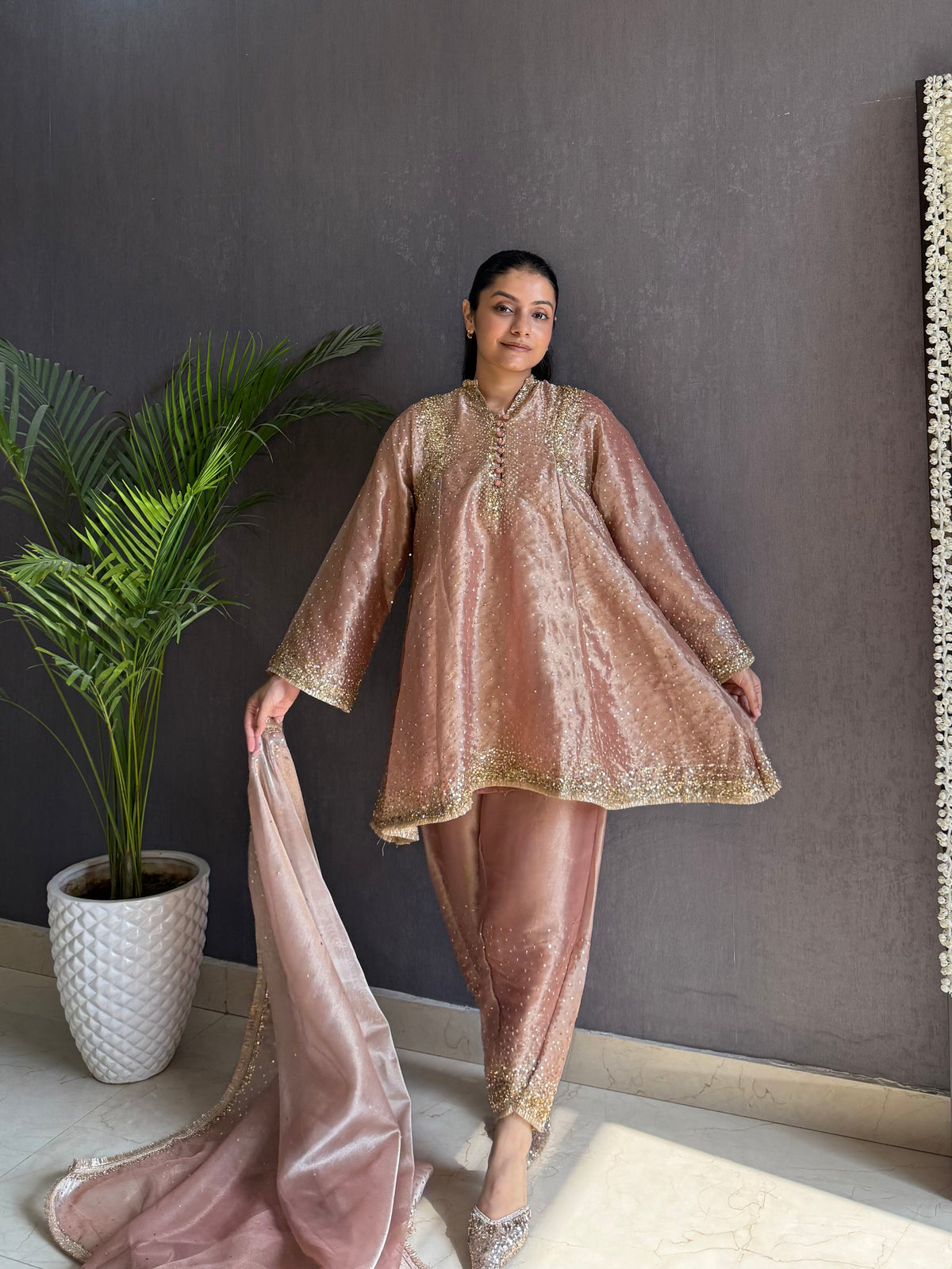 Luxurious Handwork Sitara anarkali set