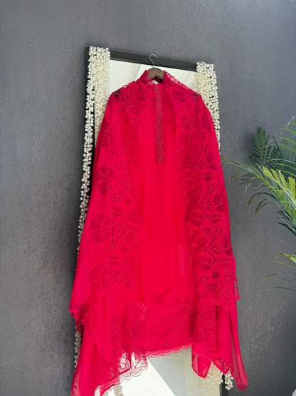 Organza monochromatic appliqué suit