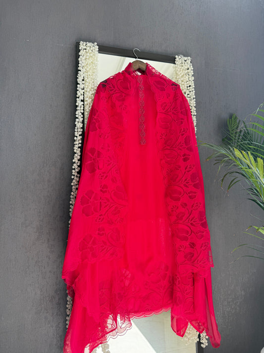 Organza monochromatic appliqué suit
