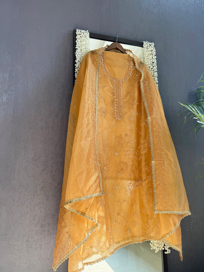 Premium tissue organza aari embroidered suit