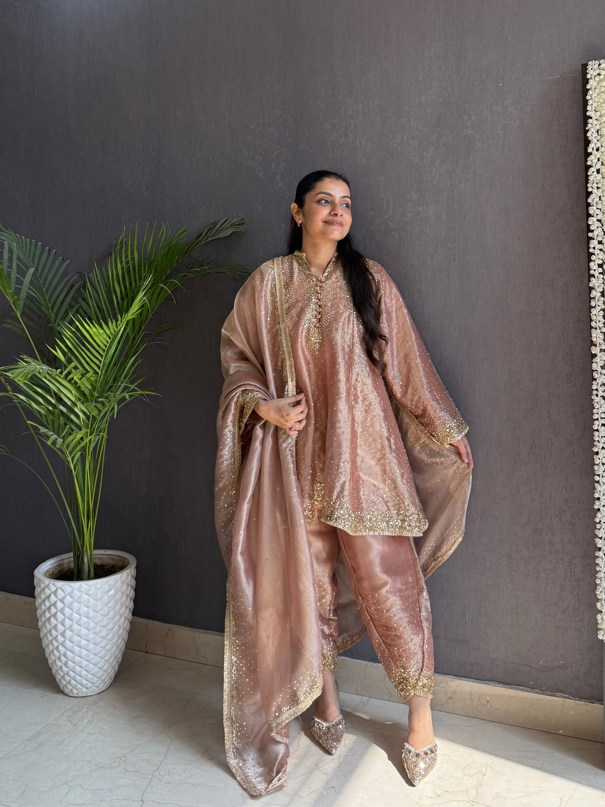 Luxurious Handwork Sitara anarkali set