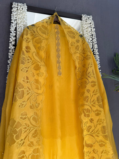 Organza monochromatic appliqué suit