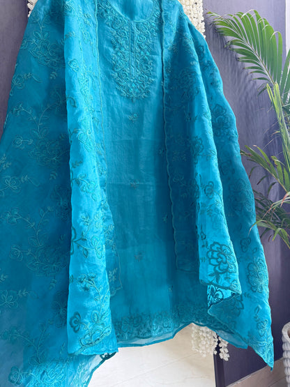 Luxurious monochromatic thread work suit