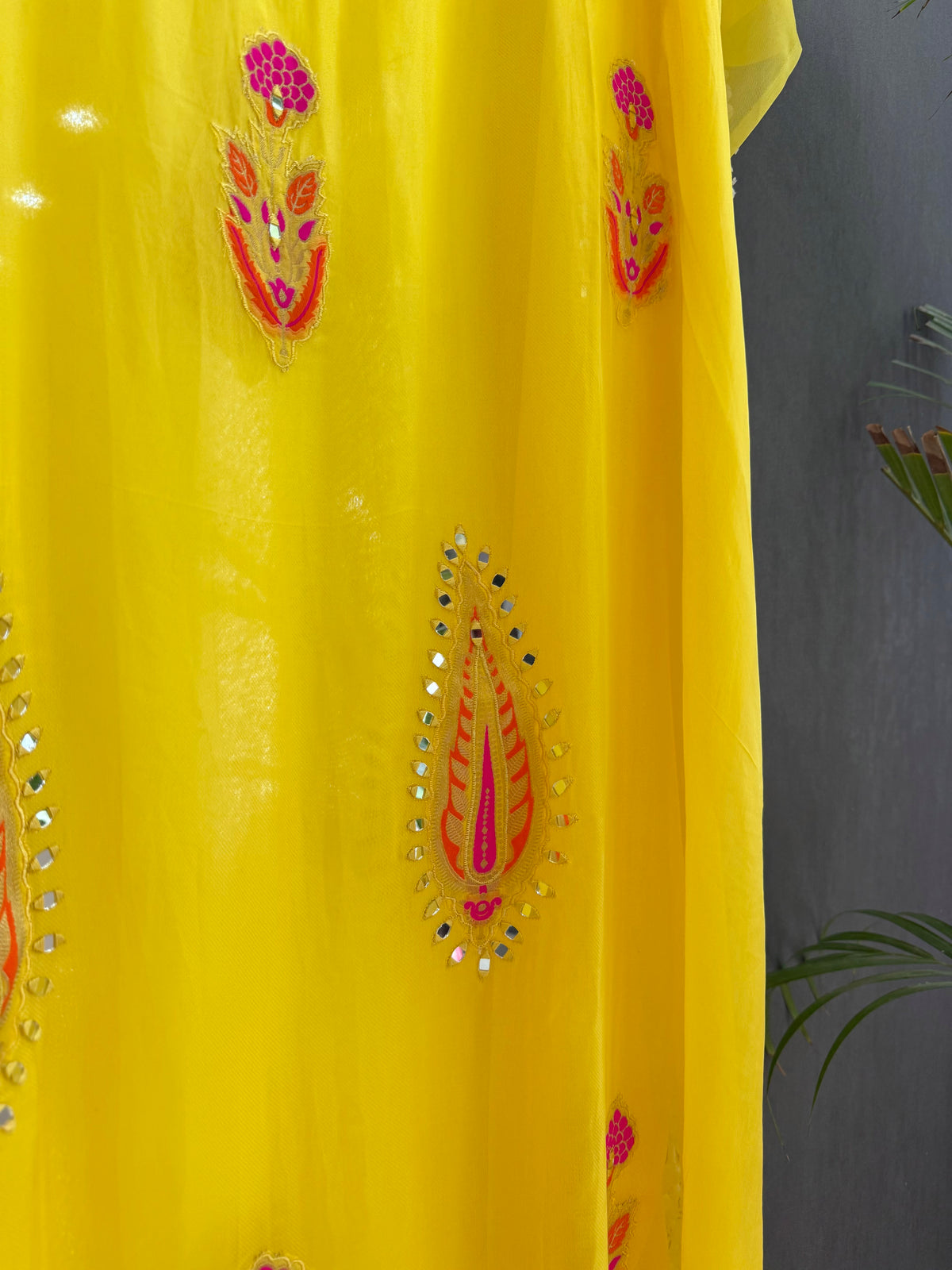 Meenakari Organza Appliqué suit