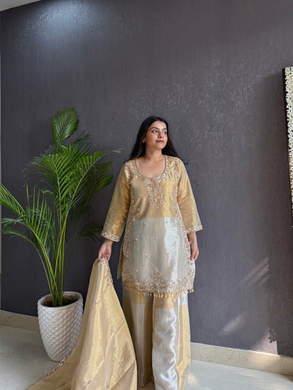 Mettalic Handwork sharara set
