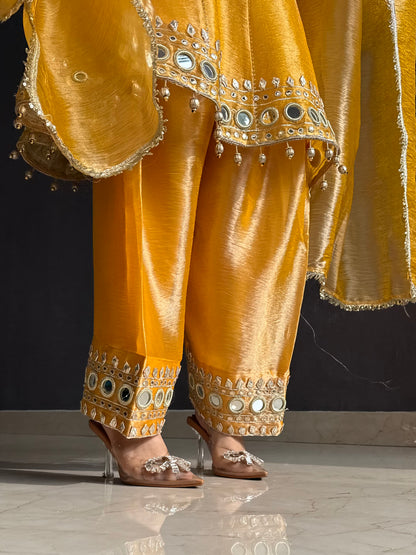 Luxurious mirrorwork anarkali set