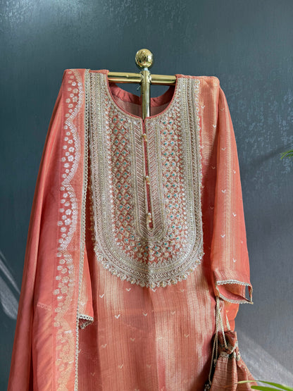 Luxurious Tissue benarsi zari handwork suit