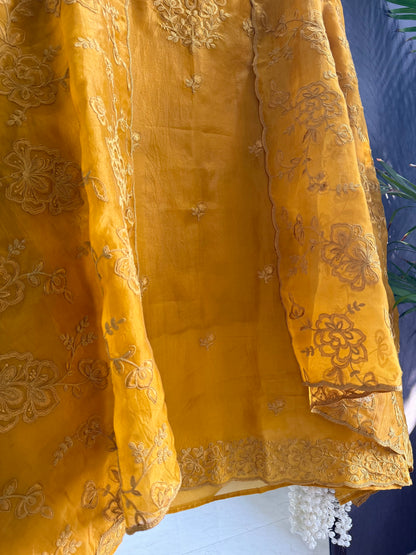 Luxurious monochromatic thread work suit