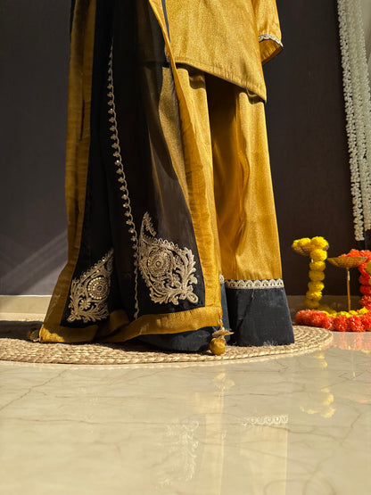 Luxurious metallic sharara set