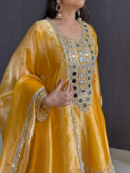 Luxurious mirrorwork anarkali set