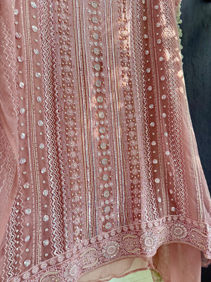 Lucknowi handwork suit
