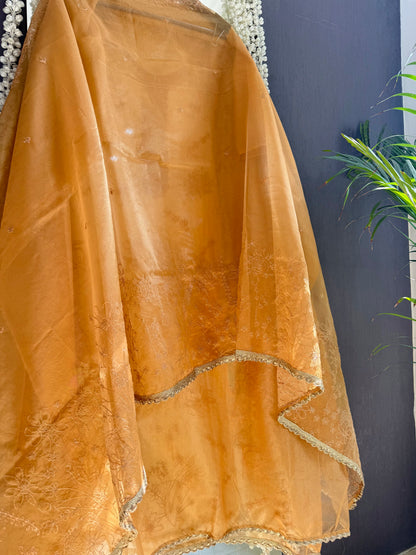 Premium tissue organza aari embroidered suit