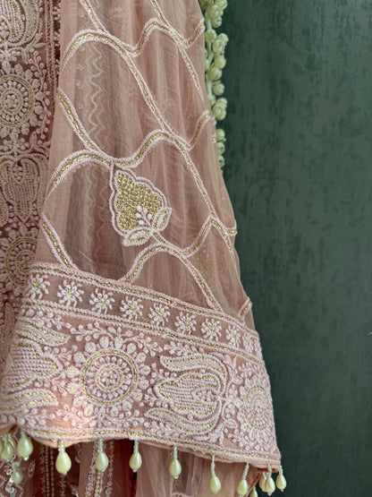 Lucknowi handwork suit