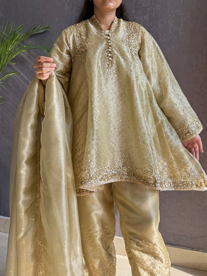 Luxurious Handwork Sitara anarkali set