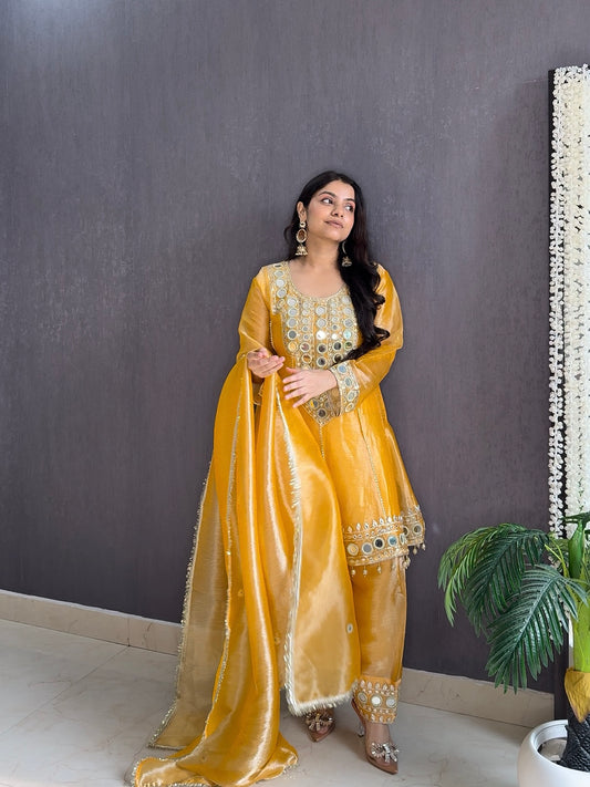 Luxurious mirrorwork anarkali set