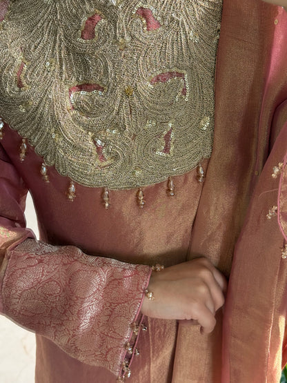 Luxurious tissue silk brocade set