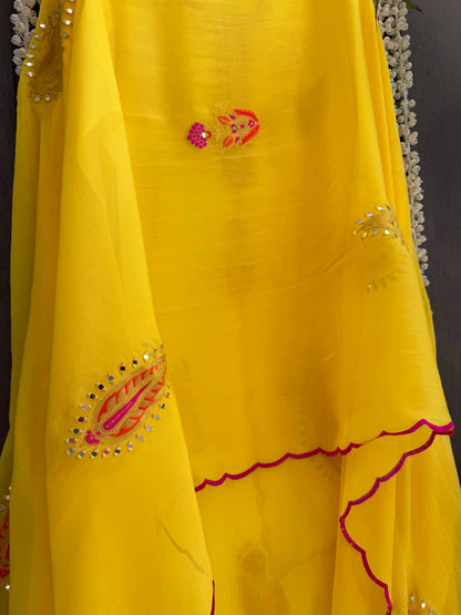 Meenakari Organza Appliqué suit
