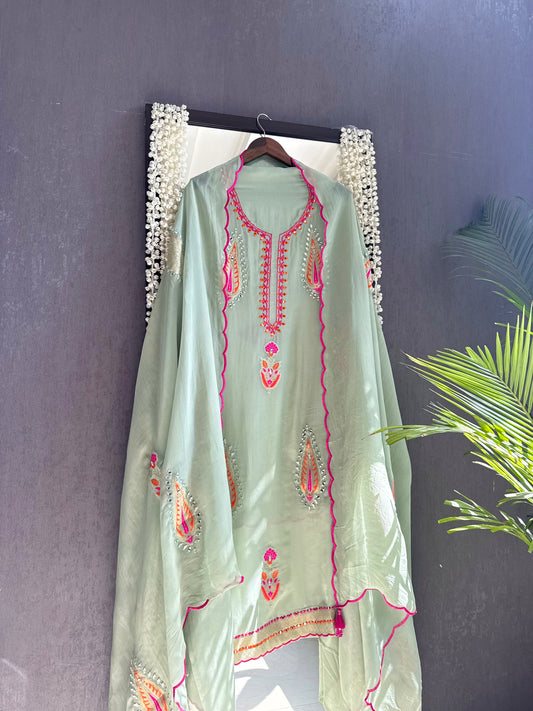 Meenakari Organza Appliqué suit