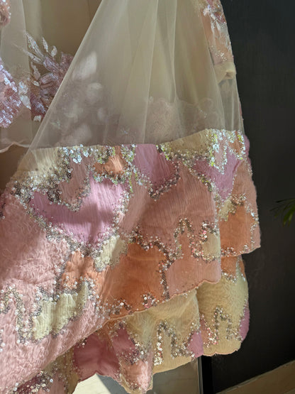 Luxurious appliqué birds Anarkali suit