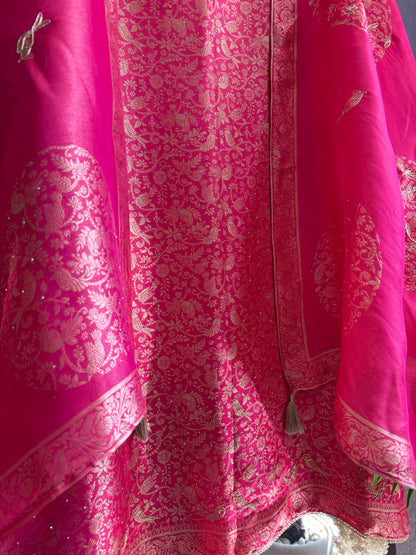 Resham Brocade Benarsi birds suit