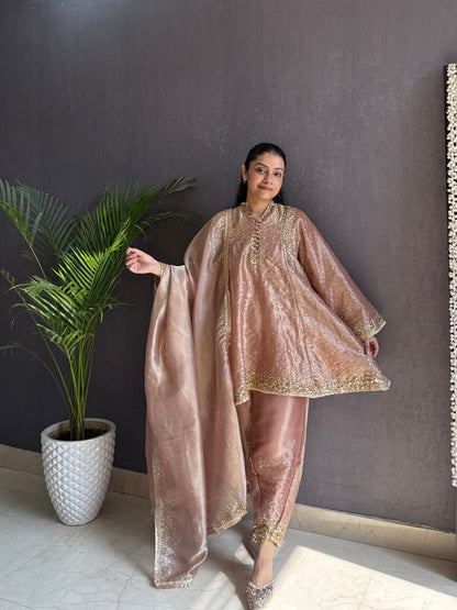 Luxurious Handwork Sitara anarkali set