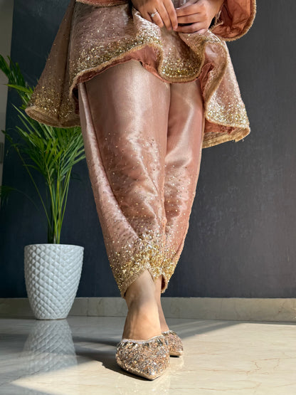 Luxurious Handwork Sitara anarkali set