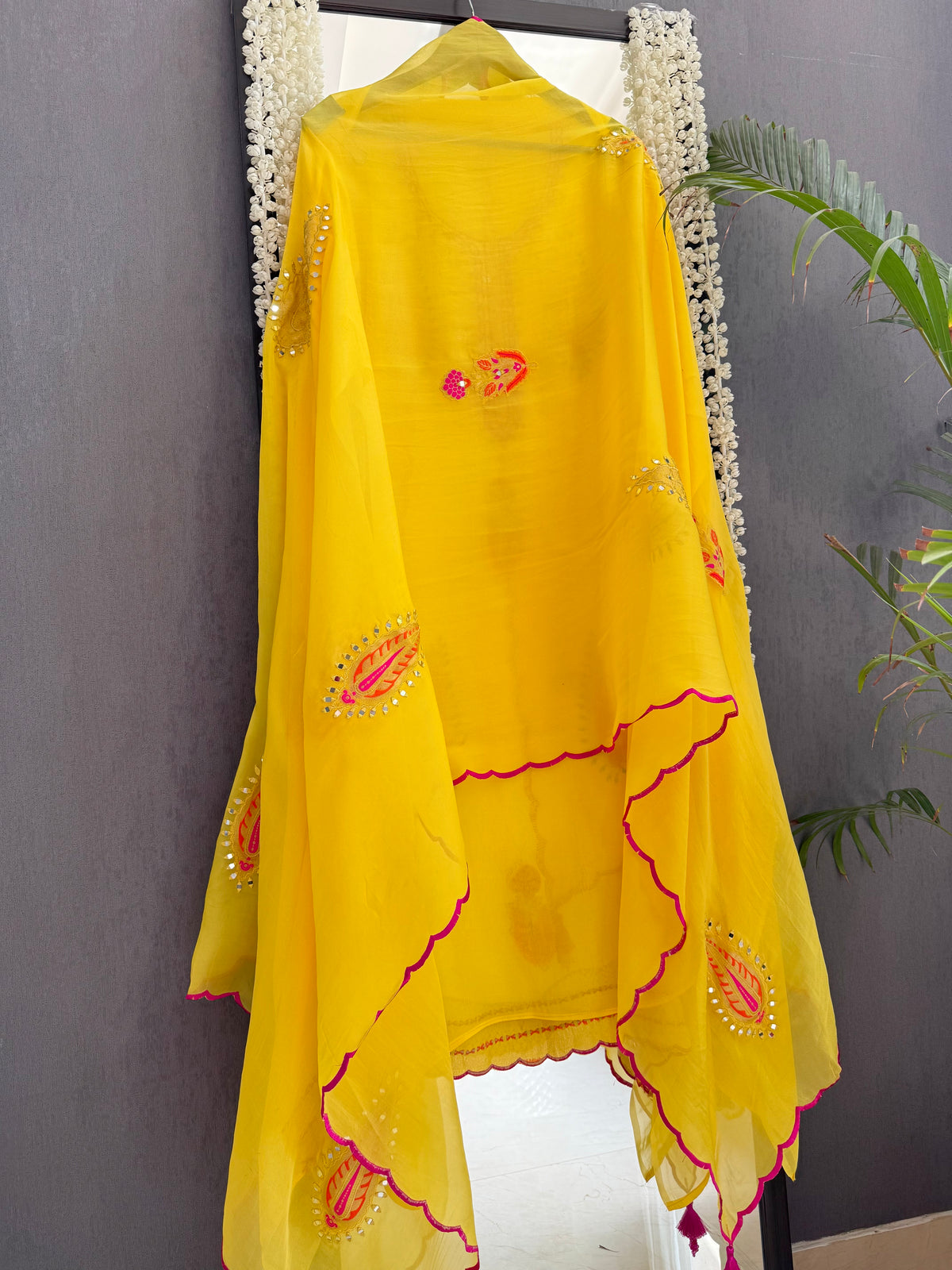 Meenakari Organza Appliqué suit