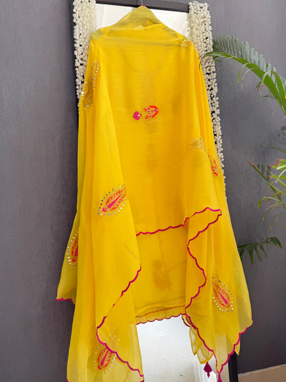 Meenakari Organza Appliqué suit