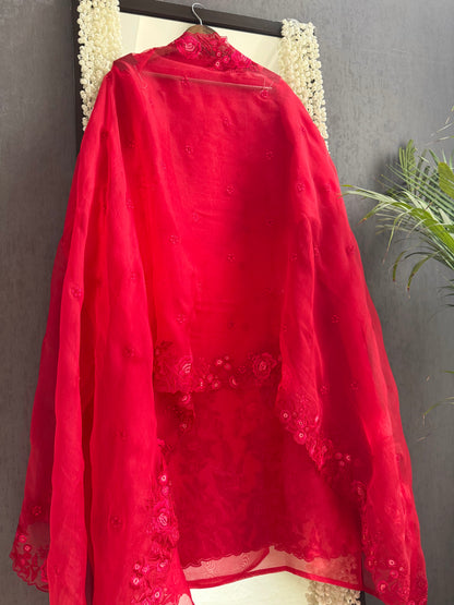 Luxurious Monochromatic parsi work suit