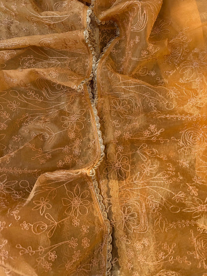 Premium tissue organza aari embroidered suit