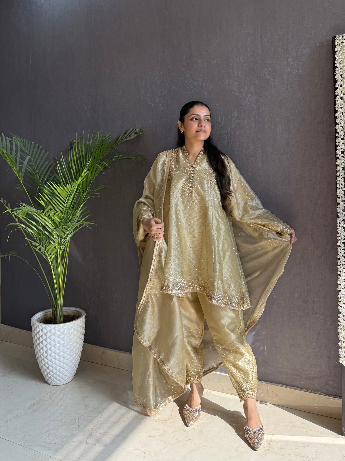 Luxurious Handwork Sitara anarkali set