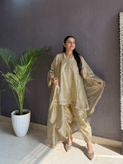 Luxurious Handwork Sitara anarkali set