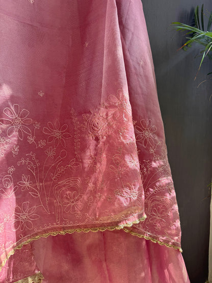 Premium tissue organza aari embroidered suit