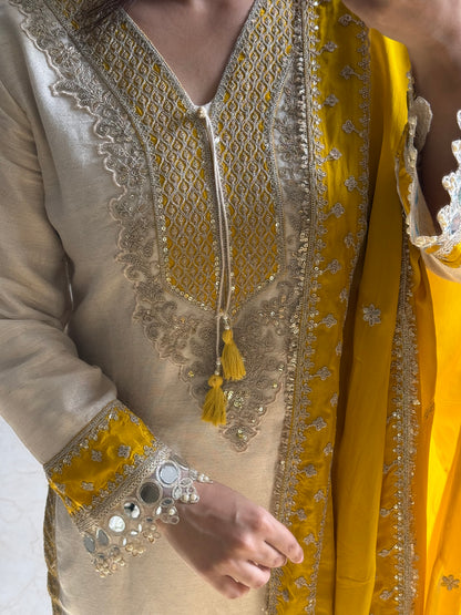 Tissue silk aari and mirrorwork suit set