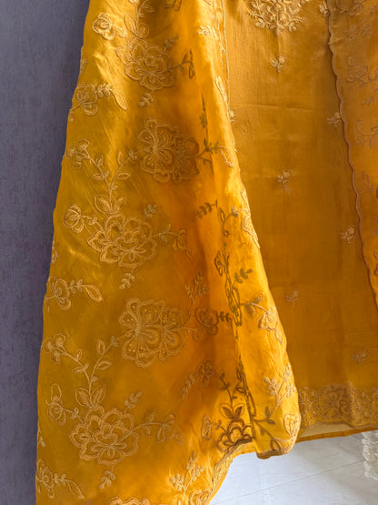 Luxurious monochromatic thread work suit
