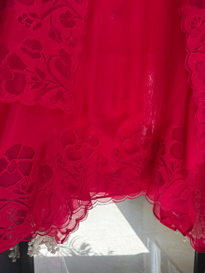 Organza monochromatic appliqué suit