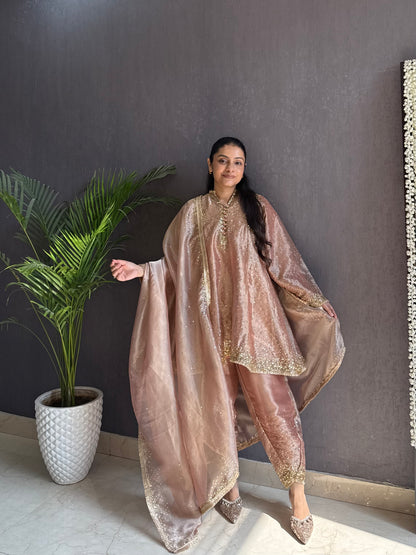 Luxurious Handwork Sitara anarkali set