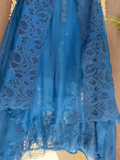Organza monochromatic appliqué suit