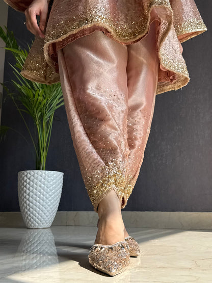 Luxurious Handwork Sitara anarkali set