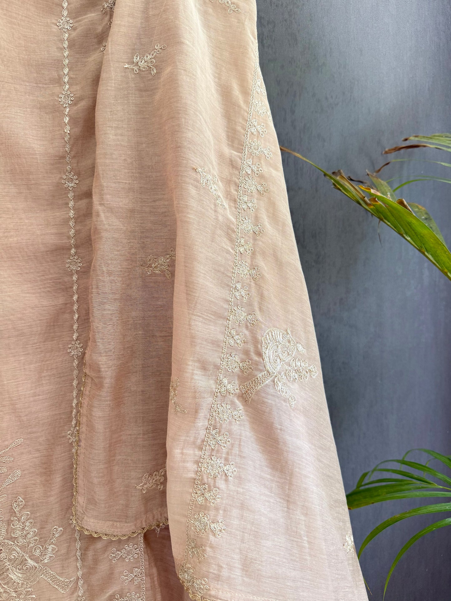 Luxurious Mul chanderi dori sitara suit
