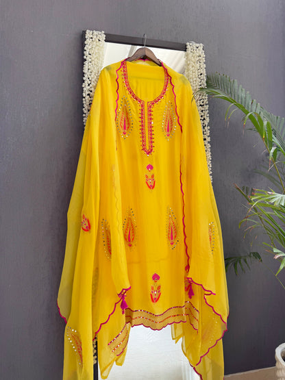 Meenakari Organza Appliqué suit