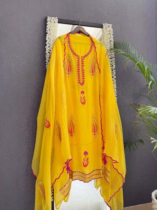 Meenakari Organza Appliqué suit