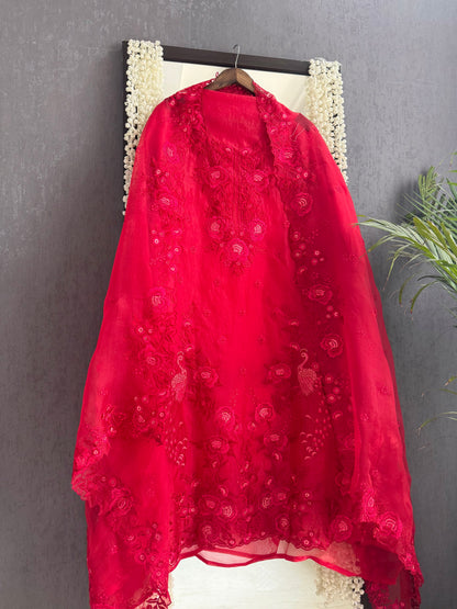 Luxurious Monochromatic parsi work suit
