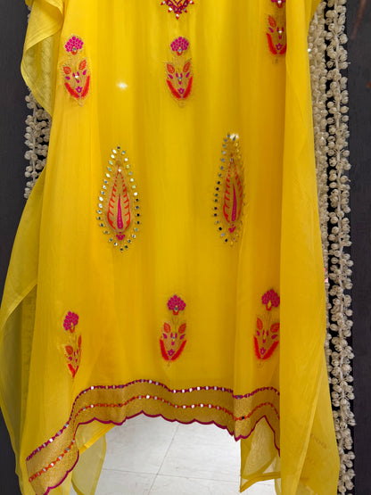Meenakari Organza Appliqué suit