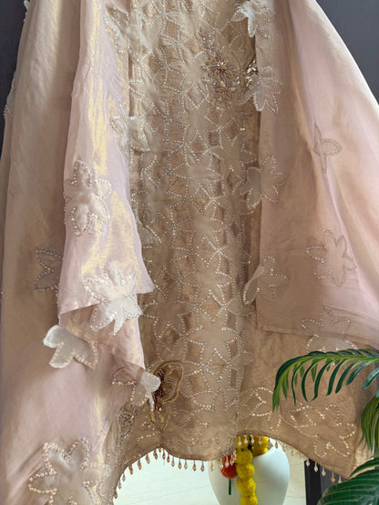 Luxurious brocade cutwork Tissue silk suit