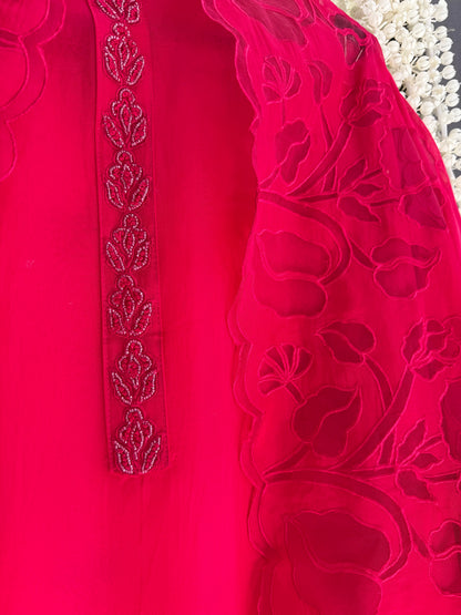 Organza monochromatic appliqué suit