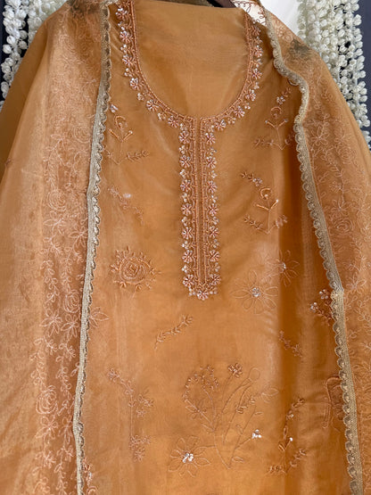 Premium tissue organza aari embroidered suit