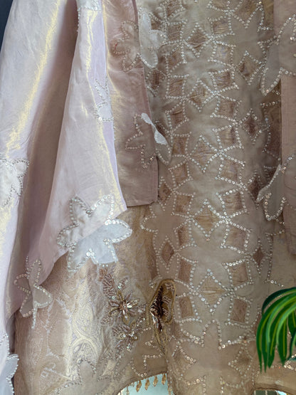 Luxurious brocade cutwork Tissue silk suit