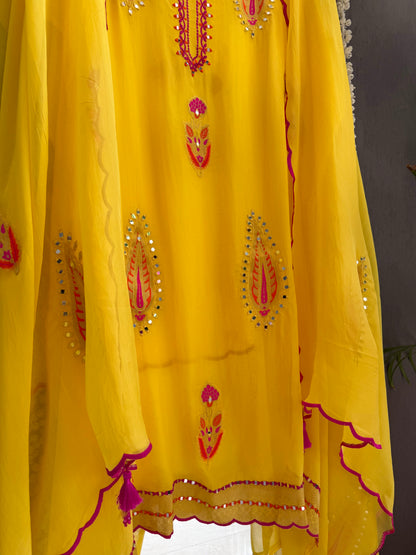Meenakari Organza Appliqué suit