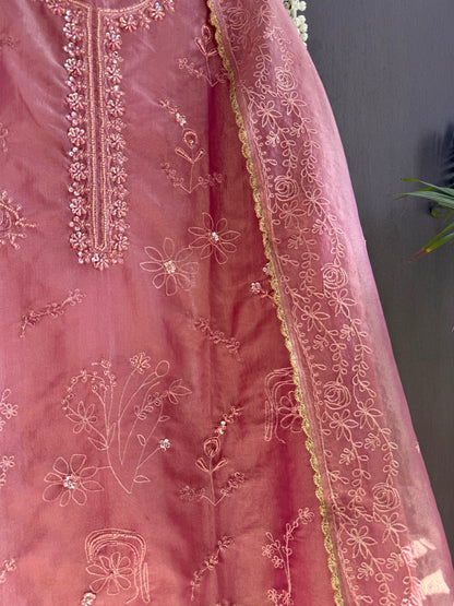 Premium tissue organza aari embroidered suit